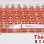 thermofisher_scientific_cell_culture