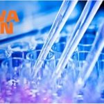 kyowa_kirin_pharma