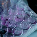 bms-acquires_ifmtherapeutics