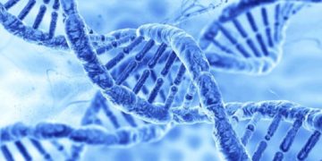 CRISPR Therapeutics and Vertex Announce FDA Has Lifted the Clinical Hold on the Investigational New Drug Application for CTX001 for the Treatment of Sickle Cell Disease