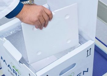 Advances making way for 2024 Cold Chain Packaging Solutions