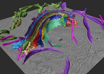 Titan Krios G4 – A Biomed Research Advancement In Australia