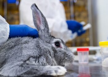EDMQ Replaces Rabbit Pyrogen Test With In Vitro Methods