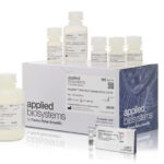 Thermo-Fisher-New-HMW-Kit-Powers-Long-Read-DNA-Sequencing