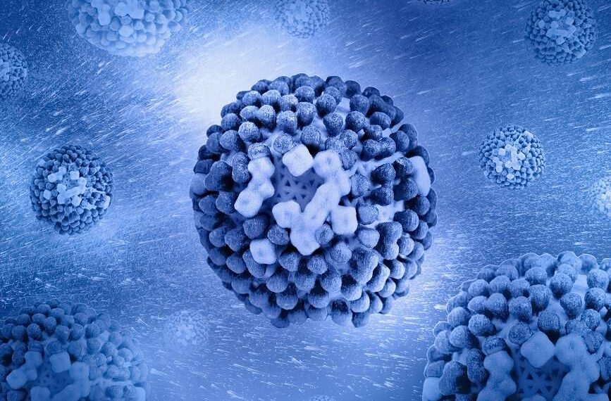 lipid nanoparticles in RNA therapies
