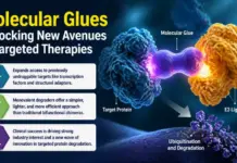Molecular Glues Unlocking New Avenues in Targeted Therapies Molecular Glues Unlocking New Avenues in Targeted Therapies