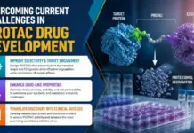 Overcoming Current Challenges in PROTAC Drug Development Overcoming Current Challenges in PROTAC Drug Development