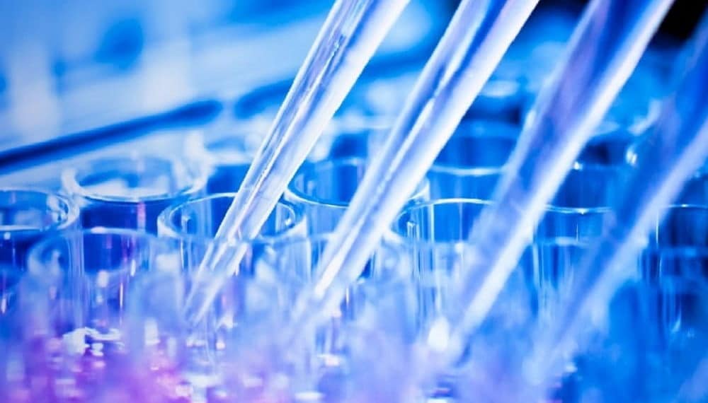 AMAL Therapeutics raises CHF 33.2 Million Series B Round