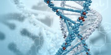 CRISPR and Vertex treat first patient in gene-editing therapy trial