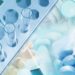 Envigo launches PATHWAY, an optimized safety assessment solution to enable first-in-human clinical trials