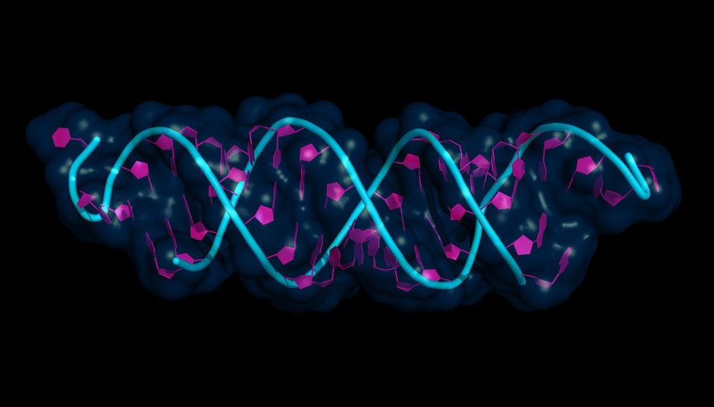Dicerna, Novo Nordisk sign RNAi deal for liver-related cardio-metabolic diseases