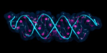 Dicerna, Novo Nordisk sign RNAi deal for liver-related cardio-metabolic diseases