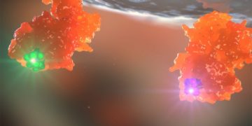 Grey Wolf Therapeutics completes £2.5 million Series A2 financing to accelerate development of therapies targeting ERAP2