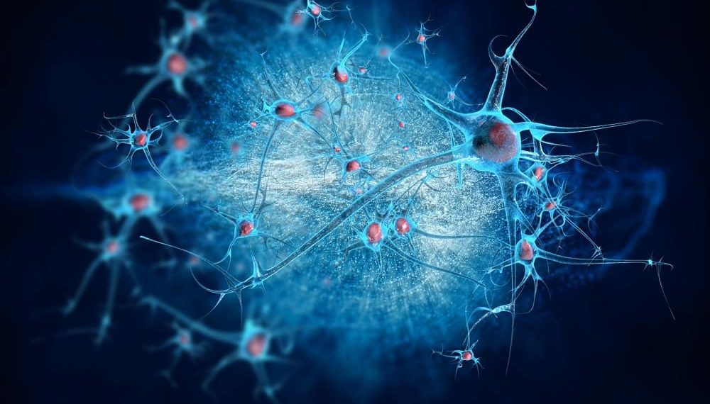 WPD Pharmaceuticals Completed the Acquisition of Two Drug Candidates