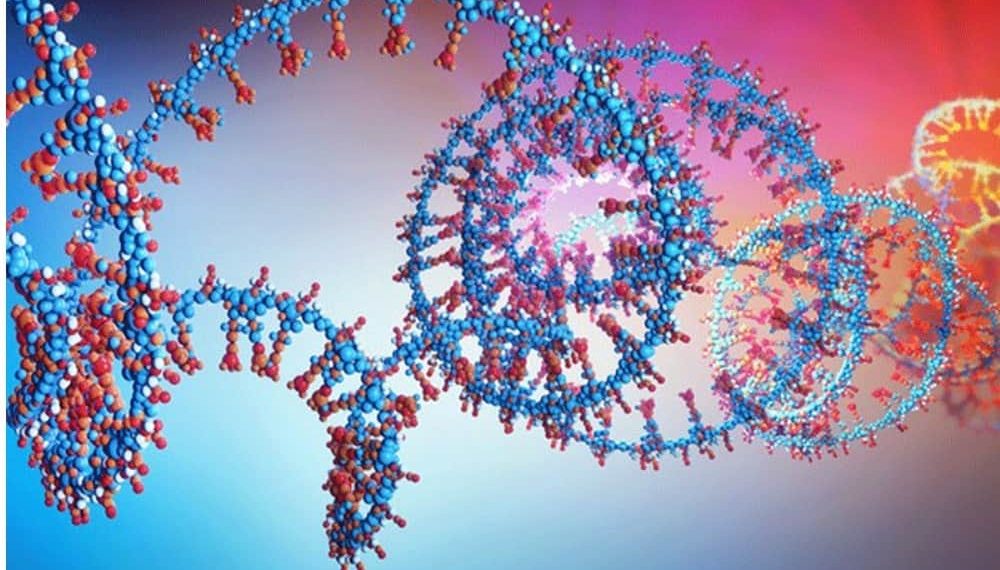 AstraZeneca Forges RNA-Modifying Protein Oncology Deal with Accent Therapeutics