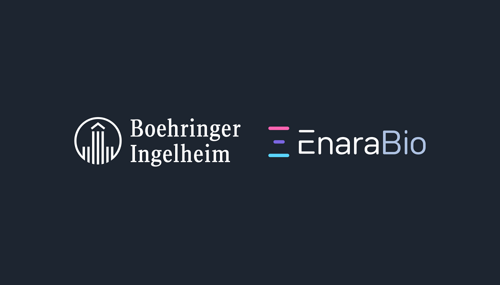 Boehringer Ingelheim and Enara Bio Partner on Cancer Immunotherapies