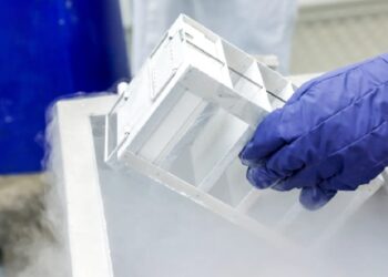 Innovative Cold Chain Logistics For Pharmaceutical Products