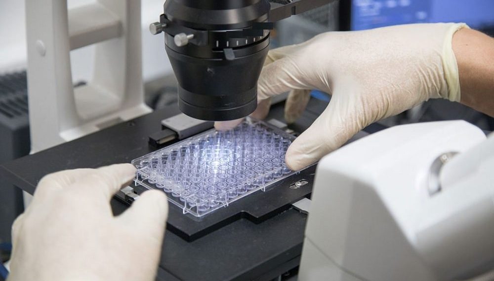 GE Healthcare Launches Viral Vector Based Gene Therapy Manufacturing