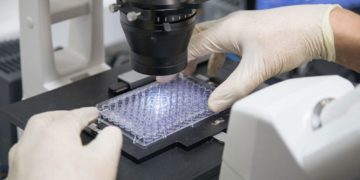 GE Healthcare Launches Viral Vector Based Gene Therapy Manufacturing