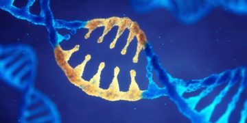 Catalent acquires cell and gene therapy-focused MaSTherCell for $315m