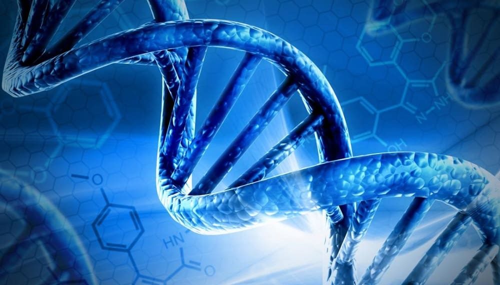 ElevateBio Cell and Gene Therapy
