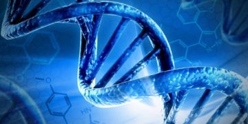 ElevateBio Cell and Gene Therapy