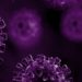 Cytovance and Akshaya Bio Announce Collaboration Agreement of Therapeutics for Treatment of Coronavirus and Hepatitis B Virus Infections