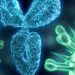 Sorrento and Mount Sinai Team Up for Antibody Cocktail COVI-SHIELD Project