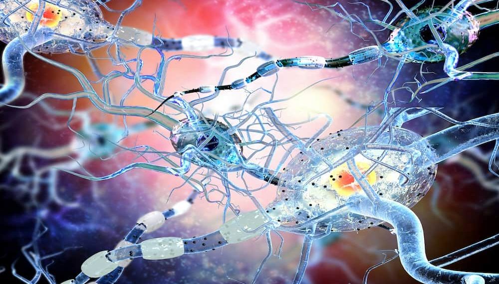 Bristol Myers Squibb Announces Commercial Launch and Availability of ZEPOSIA