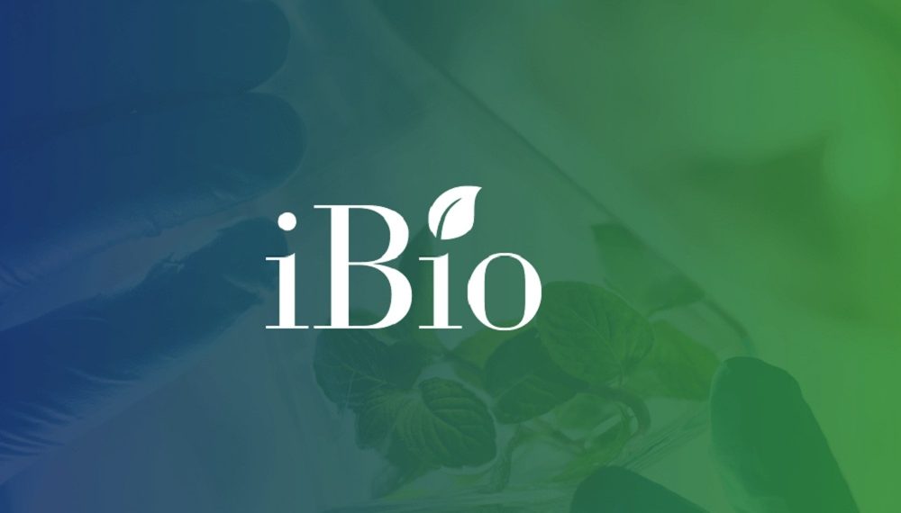 iBio to Advance COVID-19 LicKM-Subunit Vaccine Candidate, IBIO-201