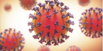 VirScan offers new insights into COVID-19 antibody response