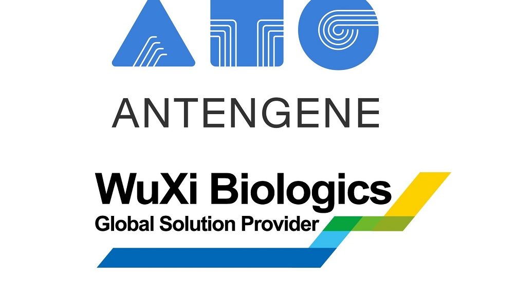 Antengene signs MoU with WuXi Biologics to advance development of innovative oncology medicines