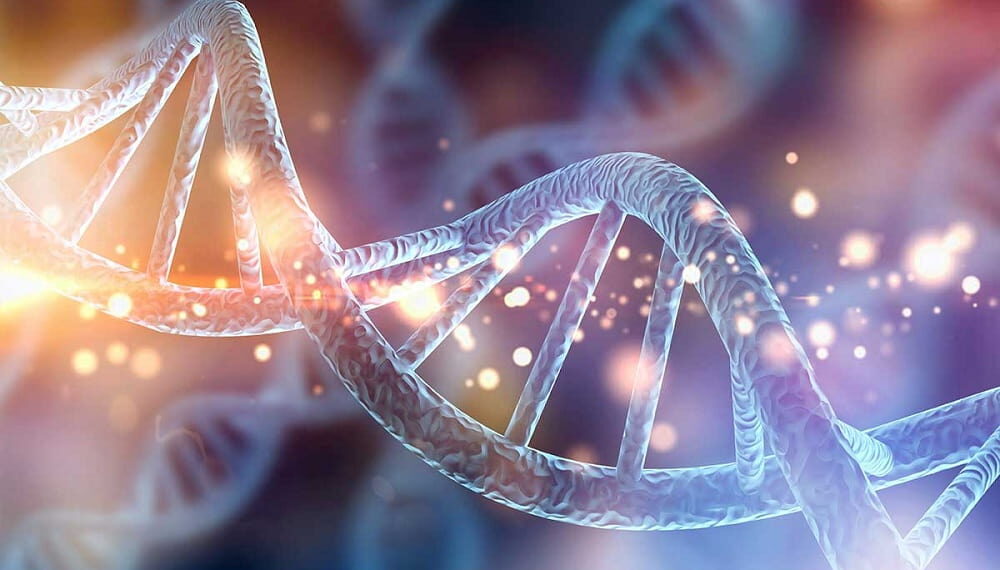 DNA