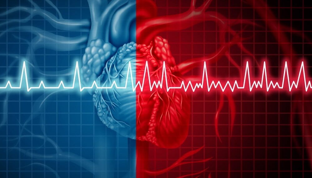 Fujitsu and University of Tokyo Hospital Embark on Joint Research into AI to Aid the Fight Against Heart Disease