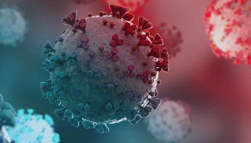 T2 Biosystems T2SARS-CoV-2 Panel Detects Omicron Subvariants