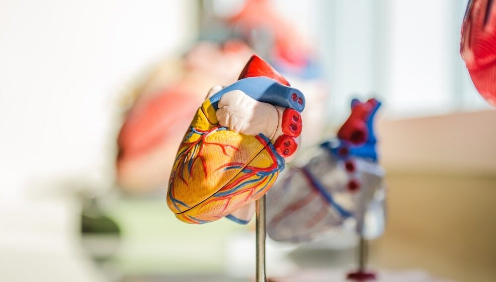 Clinical Decision Support System Lowers Cardiovascular Risk