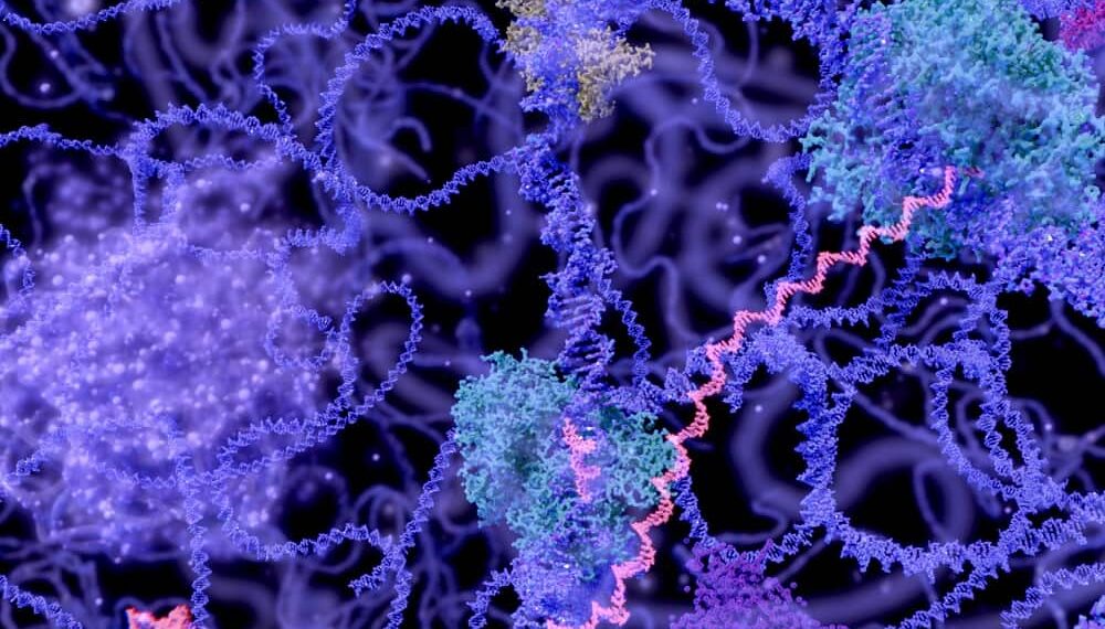 AI Assesses The Enzyme Functions Finer Than Leading Tools