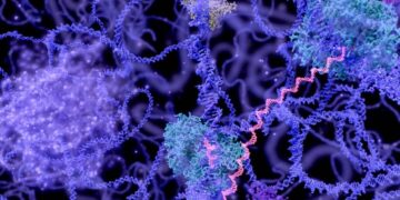 AI Assesses The Enzyme Functions Finer Than Leading Tools