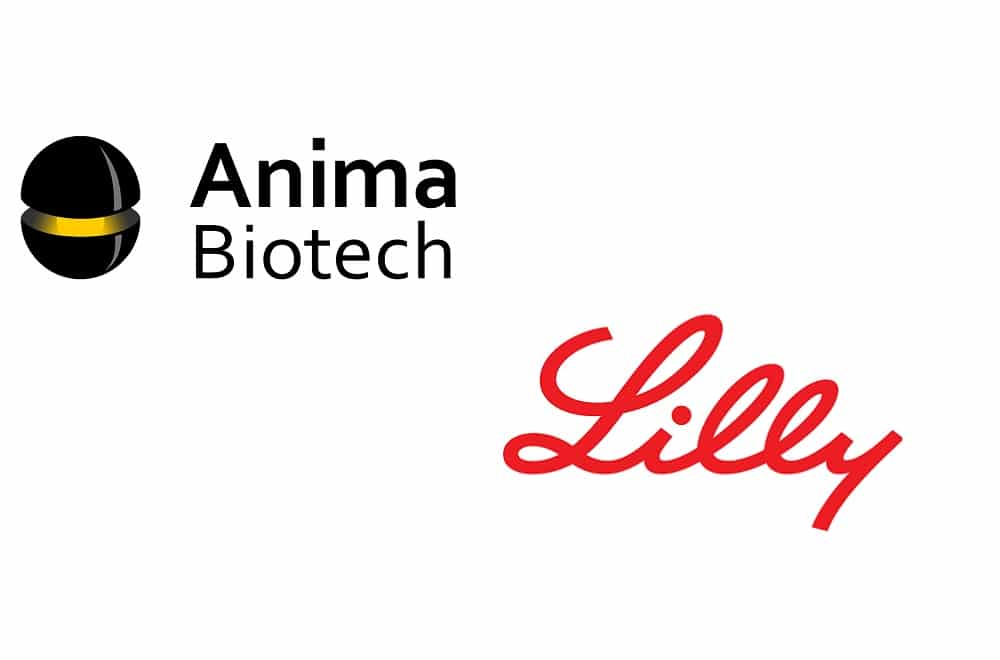 Anima Biotech announces an exclusive collaboration with Lilly for the ...