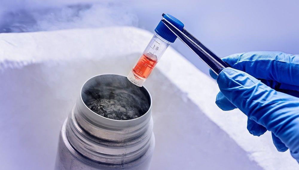 Arvato Supply Chain Solutions offers storage capabilities for cell & gene therapies