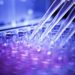 Pfizer Invests Half Billion Dollars to Advance State-of-the-Art Gene Therapy Facility