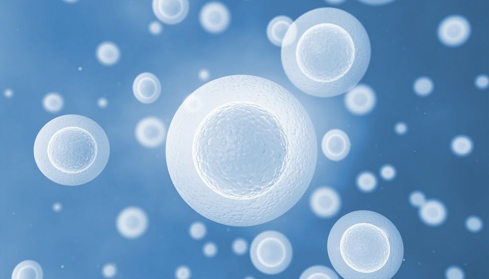 Cryoport Introduces Cell Gene Industrys First Dedicated Shipper for Advanced Therapies