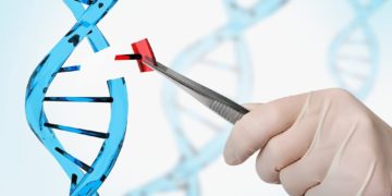 Hybrid Gene Therapy Approach Shows Promise in Treating Metabolic Diseases