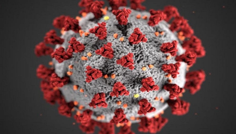 Quotient Limited Announces the Completion of the SARS-CoV-2 Antibody Test Development