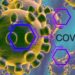 Akers Biosciences and Premas Biotech Announce Progress in its Vaccine Development for Covid-19