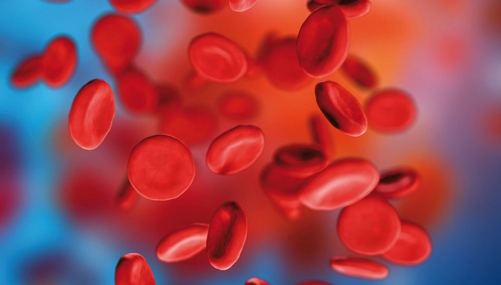 CoVIg-19 Plasma Alliance: International Organizations Work on Globulin Therapy for COVID-19