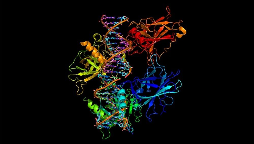Thermo Fisher Announces Agreement with Advanced Electrophoresis Solutions to Accelerate Therapeutic Development through Cutting-Edge Protein Analysis