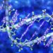 Aevi Genomic Anti-IL-18 Antibody