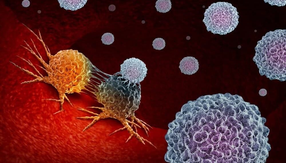 Tumors Can Get Destroyed By Bacteria-Aid To Immune System