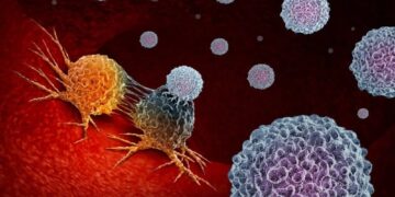 Tumors Can Get Destroyed By Bacteria-Aid To Immune System
